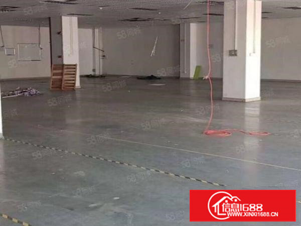 长安沙头新出厂房，豪华装修办公室，水电已通，拎包生产，好招工