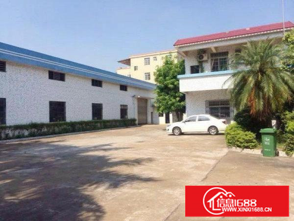 塘厦沙湖原房东经典小独院3780平方！面积可实量！无公摊