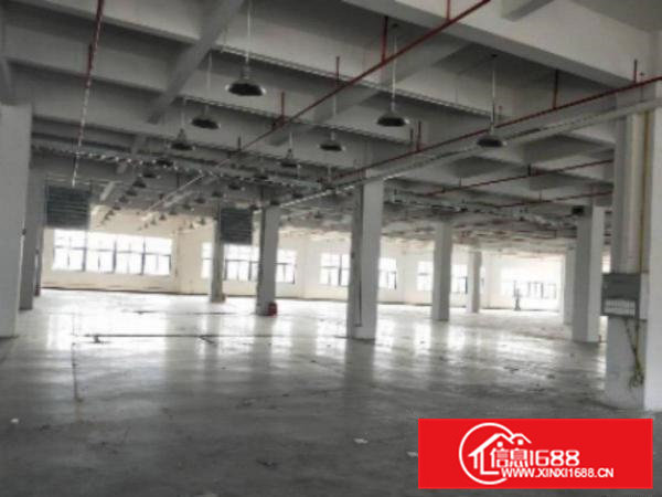 高埗标准厂房分租一楼1000平方米出租现成的水电和消防设施，