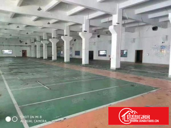 形象好带牛角地坪漆,石排新出标准面积1500平方出租