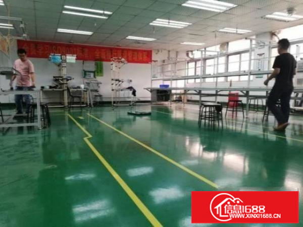 松岗松涛路1楼精致装修560平厂房出租