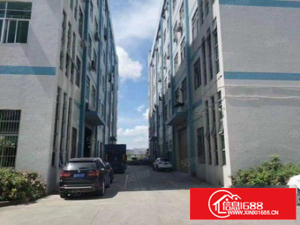 四甲新出原房东独院厂房楼上1380平带精装修办公室前台