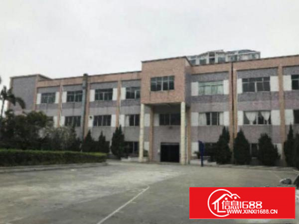 万江简沙洲新出独院标准11400平方出租