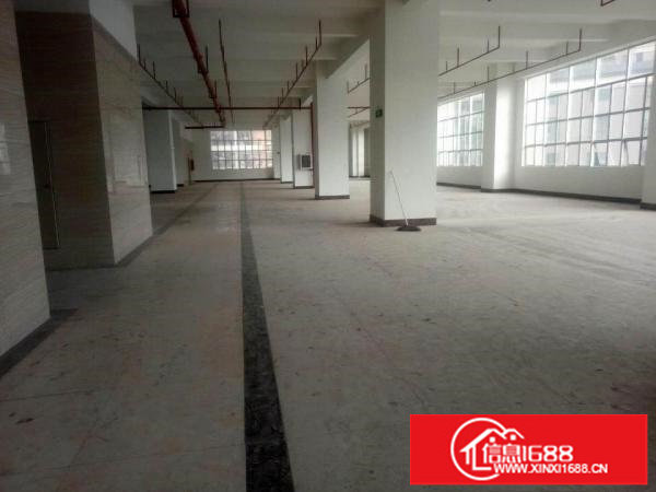 布吉上李郎119层每层2180平方出租