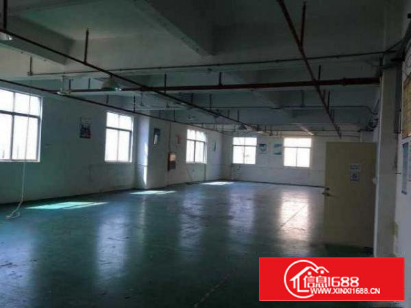 沙井新桥国道科技园直租300-1000平精装厂房，水电齐全