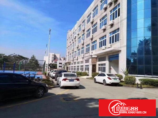 新出龙岗坪地独院厂房6100平方