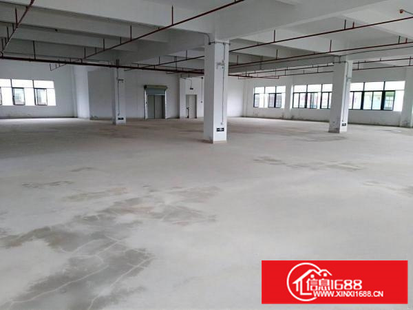 碧岭原房东红本厂房实际面积5500平米出租