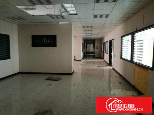 观澜大富工业区硅谷动力附近独院厂房可改商业盘出租