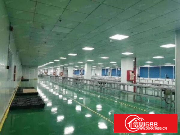 企石新南村3楼1300平米带装修厂房出租交通便利