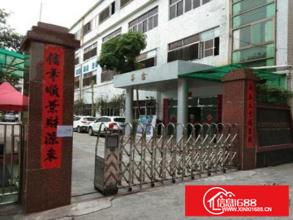 一楼出租，20元平米，