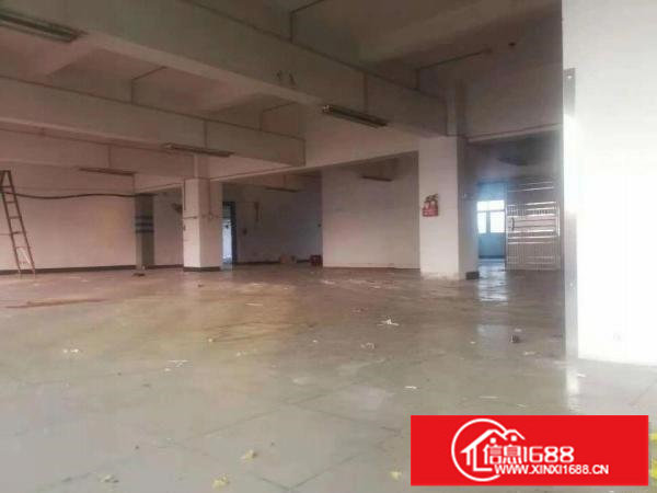 出租龙岗区坪地教育北路标准厂房三楼500平方
