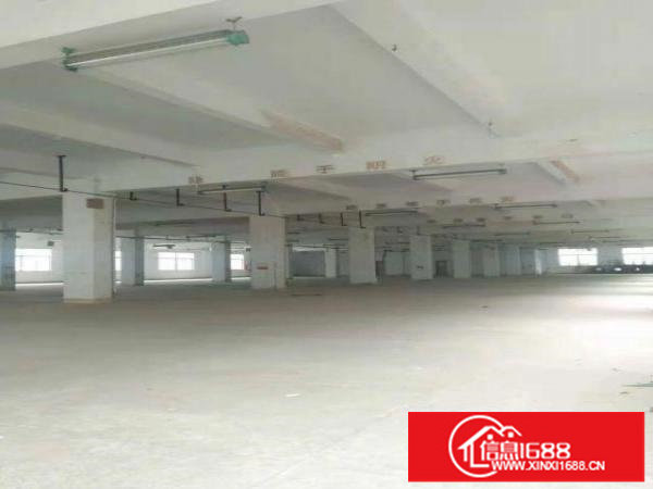 龙岗中心城食品产业园独栋6000平分租送办公室装