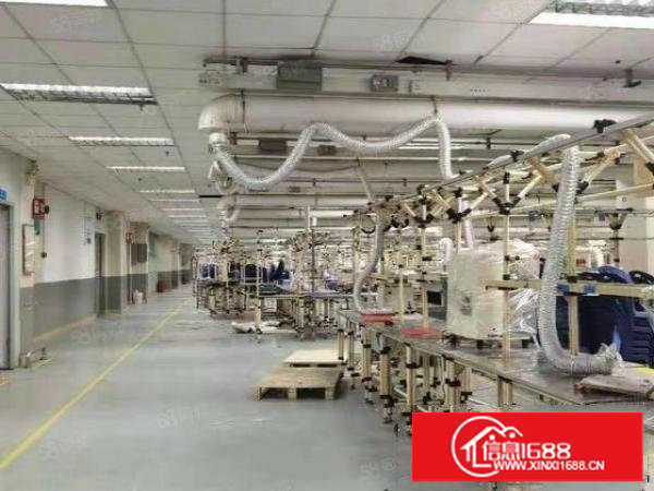 长安新安大桥附近新出楼上标准厂房8000平