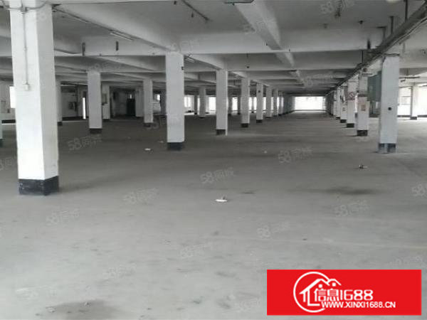 1000平起分观澜牛湖原房东独院39000平厂房出租,公摊小