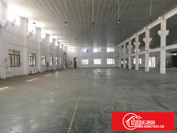 大沙新出原房东独院单一层2500平方厂房出租，滴水10米