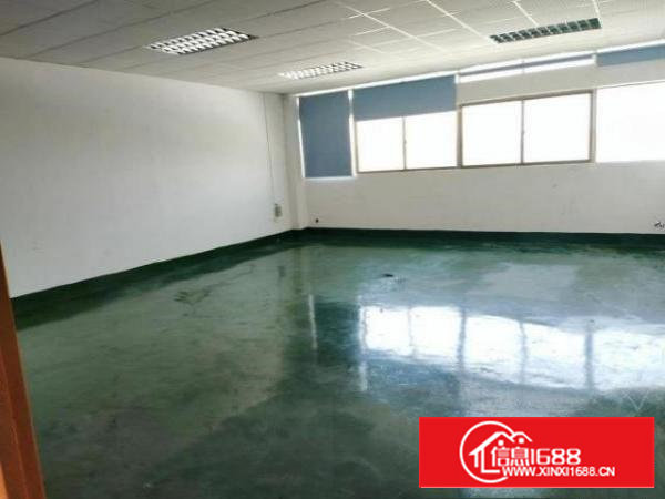 沙井东环路原房东1300平方精装修出租