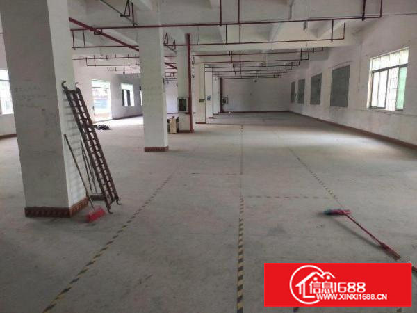 龙岗区横岗安良250平方厂房仓库招租