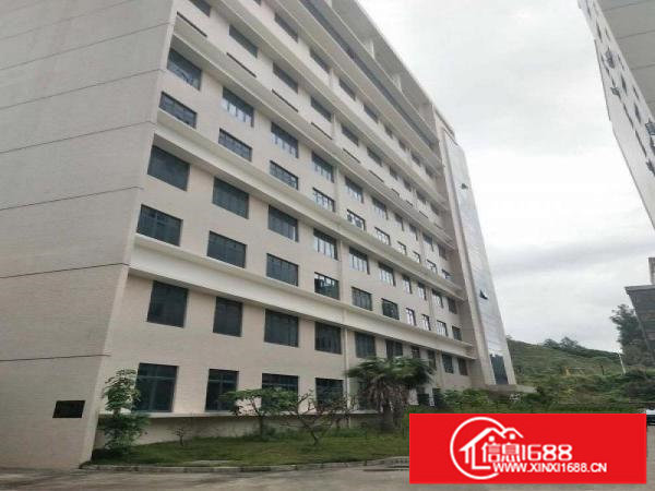 坂田全新红本产权厂房100至1500平，高度7.5米