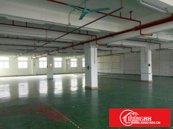 丹灶上安村新出1楼1000平厂房，双面采光
