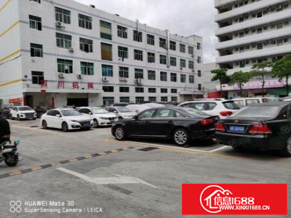 龙华大浪新出1000平精装修厂房出租