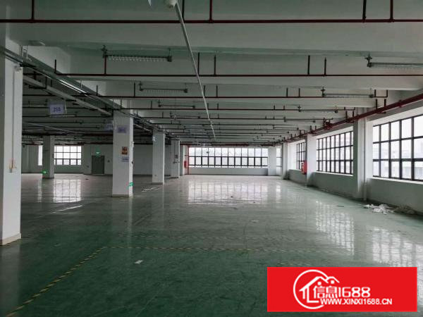 凤岗五联楼精装修厂房出租2500平电子电商手袋皮具加工