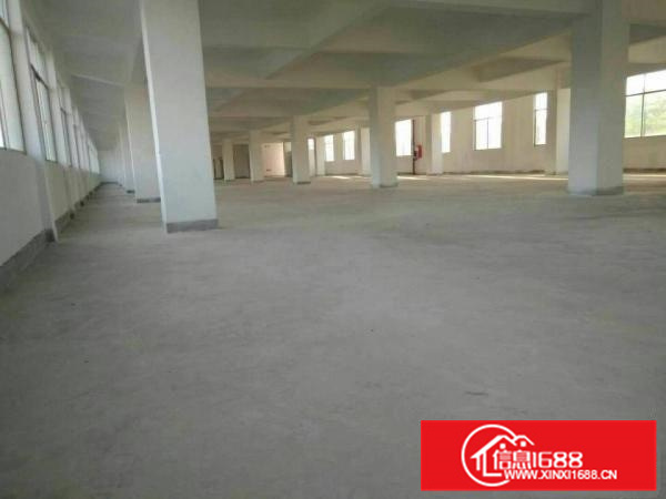 惠阳新墟1500平原房东楼上带装修厂房出租空地超大