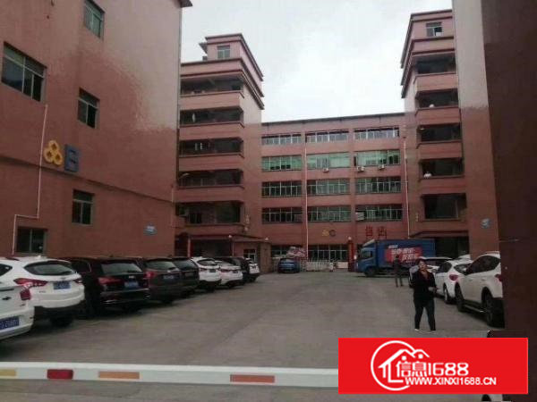 经济实惠，干净卫生的厂房