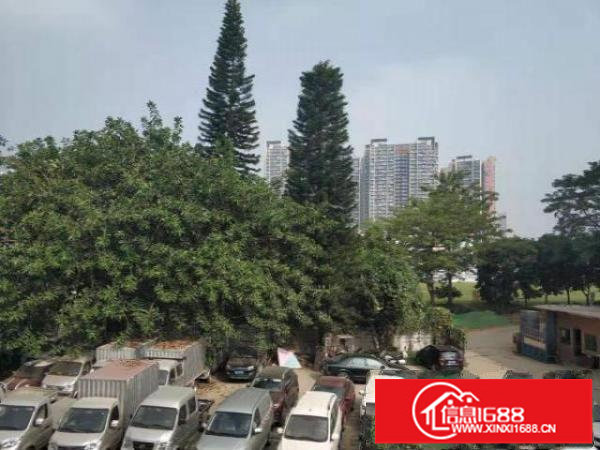 横岗小面积地铁口厂房电商加办公200到600平米大小分组