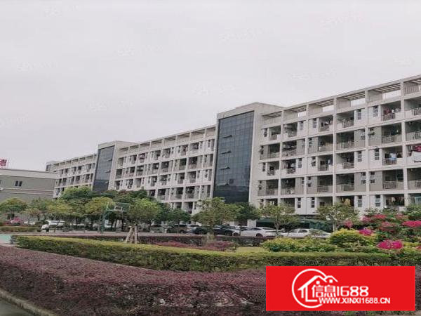 清溪独院分租价格10块钱一平方起租总面积5万平方500平起租