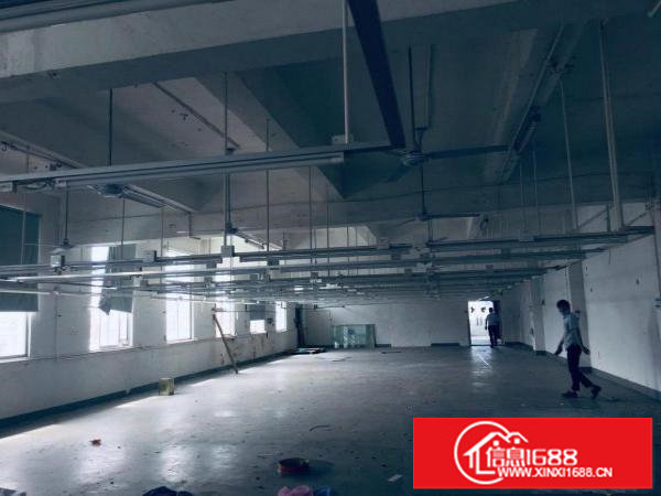 横岗全装修现成服装厂房580平，厂房端正