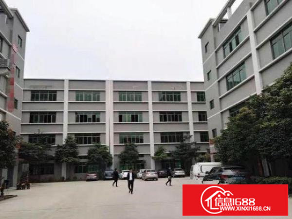 光明下村标准厂房460平出租，有地坪漆，办公环境好