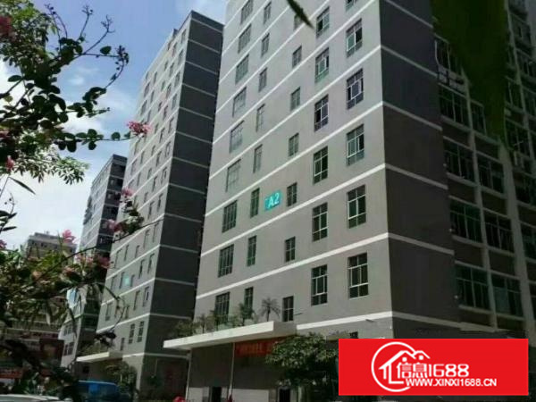 6.5米，仲恺潼湖有牛腿一楼980平米