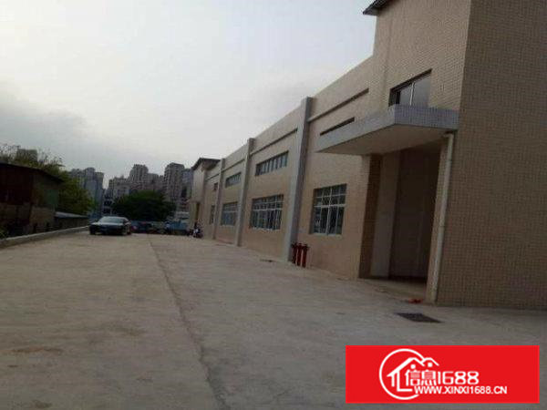 （单一层标准厂房）600平方在常平袁山贝招租高5米