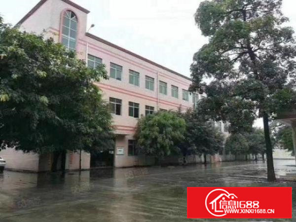 清溪新出原房东标准厂房10元起租