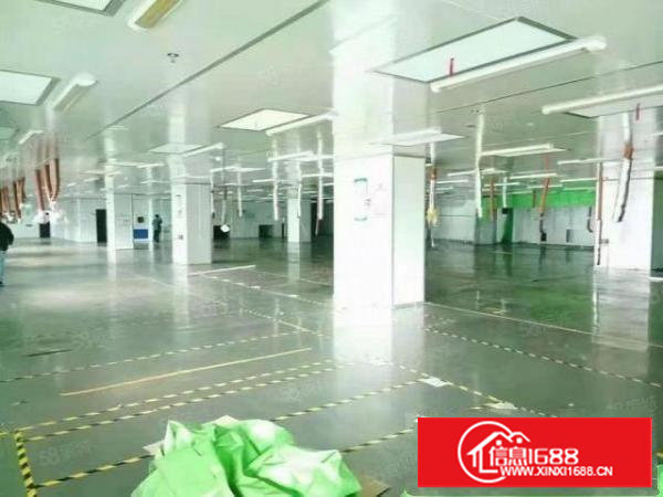 长安上沙出楼上300平方厂房火热招租