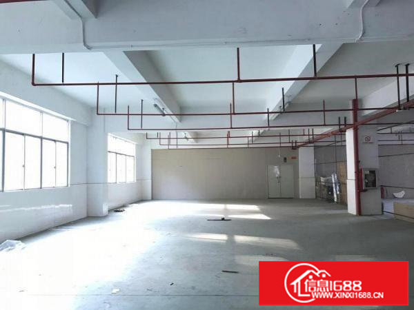 房东直租！丹竹头地铁旁一楼厂房400平租金12000元，