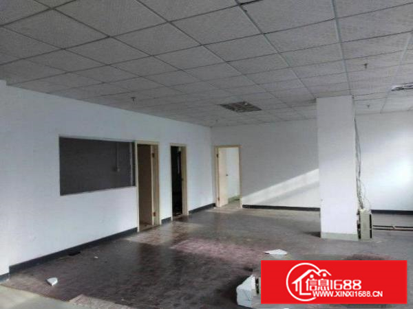 秋长独门独院4000平标准厂房整租送400平钢构