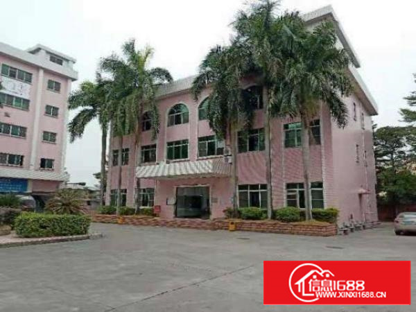 高埗独院标准厂房一楼3000平方出租适合五金、机械等行业