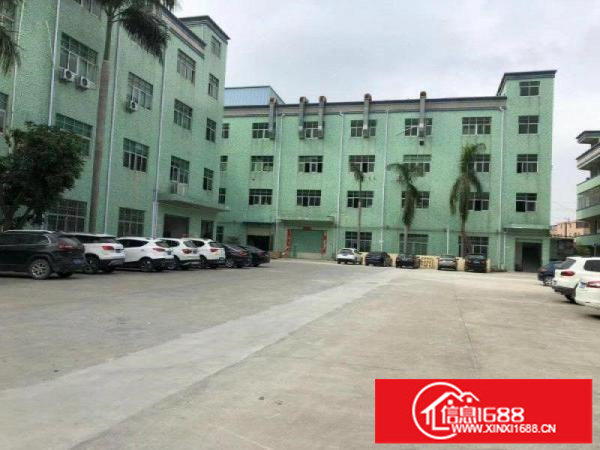 碧岭金碧路边新出原房东红本厂房一楼500平方带办公室出租