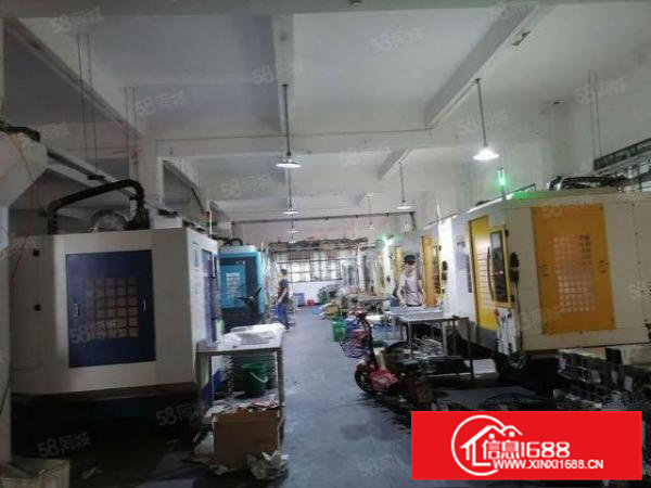 清溪谢坑新出一楼500平方现成行车水电齐全现成办公室租金便宜