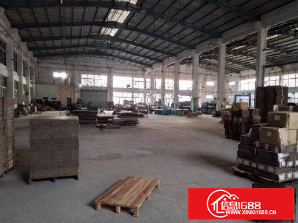 常平塘角4000平方米单一层标准钢构