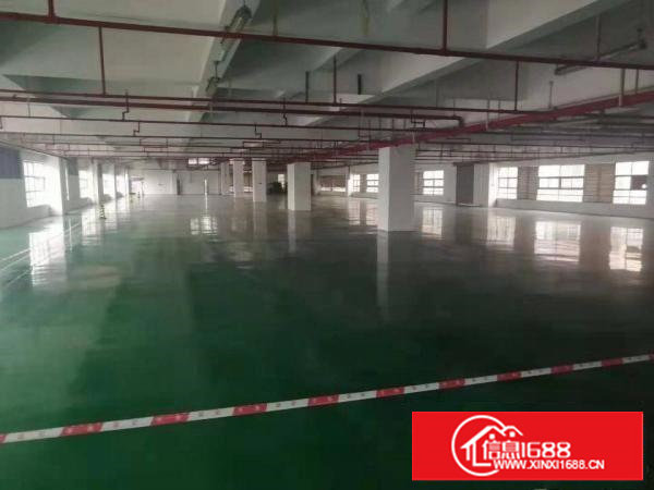 长安新出带喷油环评厂房1800方，大小可分租