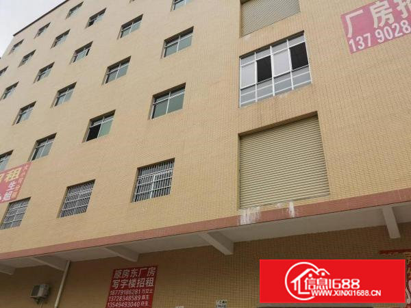 横沥镇水边新开盘工业园原房东楼上600平方带豪华装修