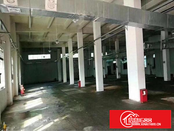 塘厦大坪高速出口独院标准单一层2700平方