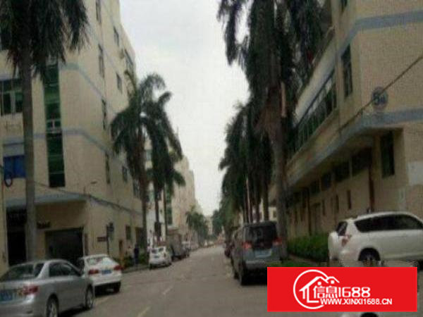 高埗工业区楼上新空出厂房2000平方带装修出租