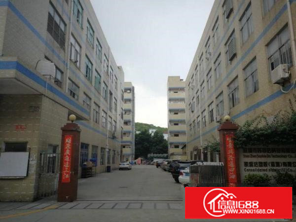 平湖山厦大望工业区一楼厂房1200平方急租