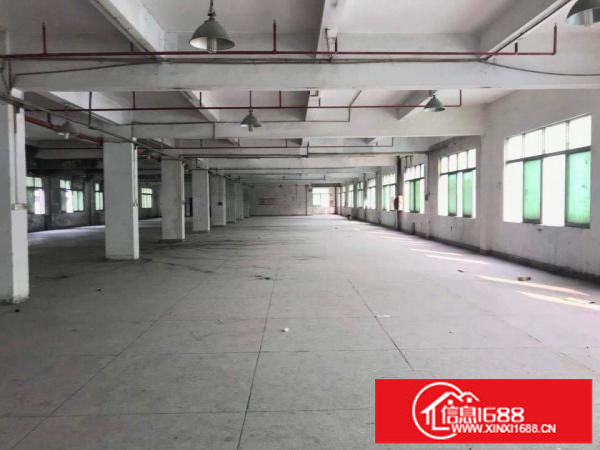 出租布吉康桥标准厂房分租一楼900平米