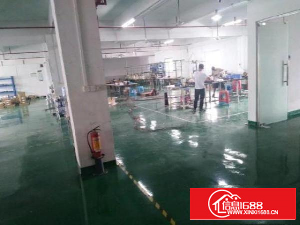 石龙工业区第三栋三层厂房900平米