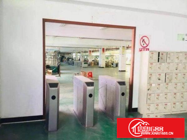 出租龙岗区五联一楼1500平厂房，有行车，有环评可分租