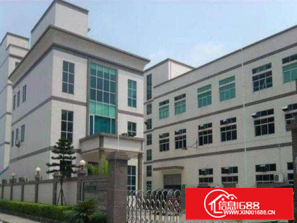 龙岗区坂田二楼300平方整层装修厂房出租